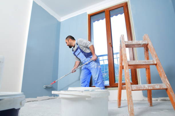 Best Emergency Mold Remediation  in Port Washington, WI