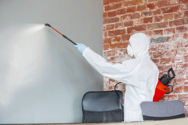 Best Mold Remediation for Rental Properties  in Port Washington, WI